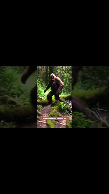 Park Ranger Sees THIS #shorts