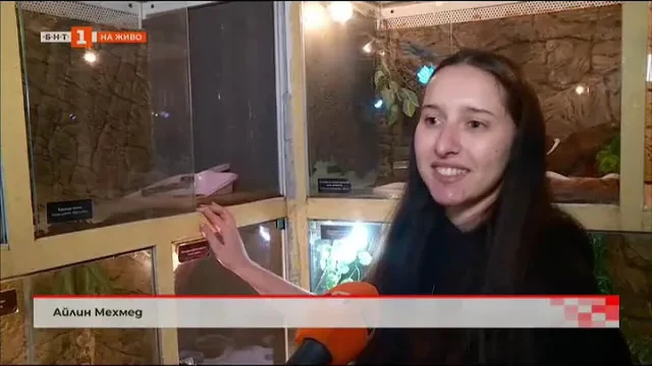 Осиновяват животни от Природонаучния музей в Пловдив