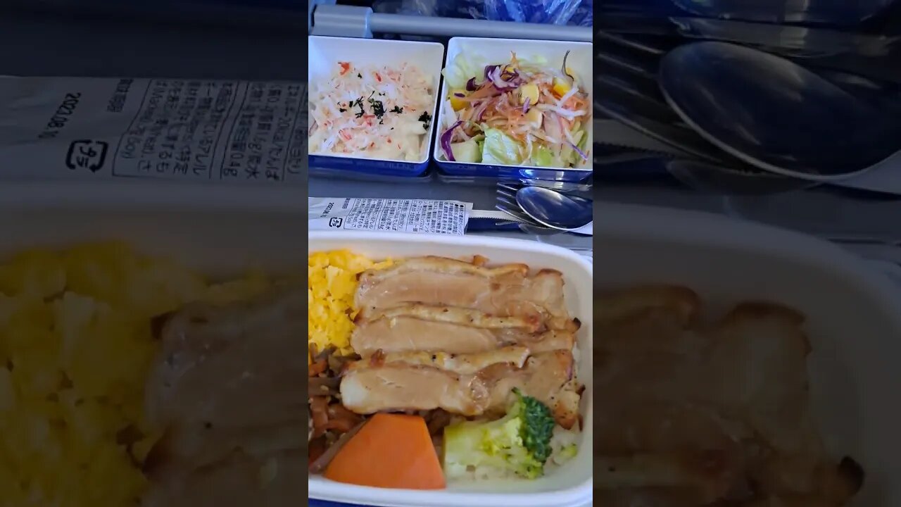 ANA항공기 기내식