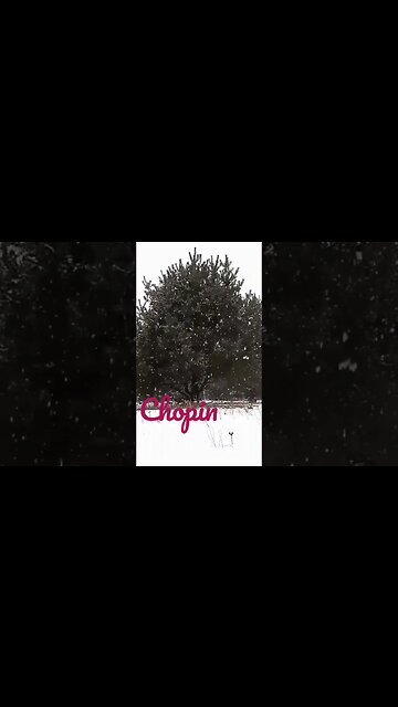 Nocturne in E Flat Major - Subscribe For More #shorts #chopin #nocturne