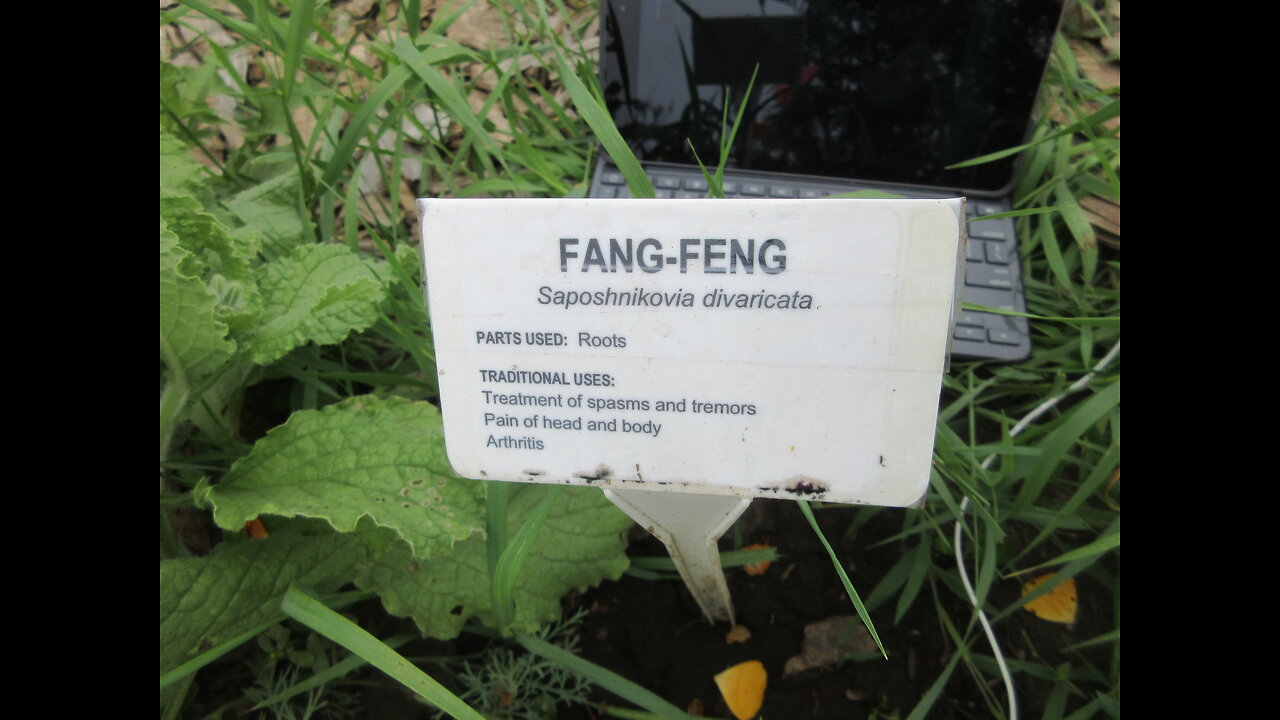 Wind Protector Fang Feng July 2024