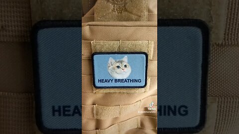 #shorts #bbw #fat #fatpride #bodypositive #bodypositivity