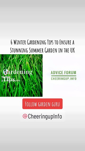 6 Winter Gardening Tips to Ensure a Stunning Summer Garden in the UK