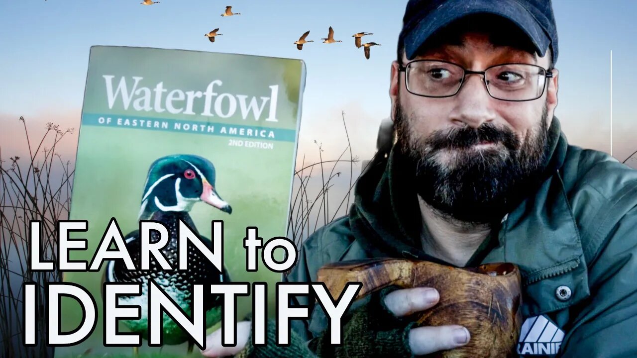 How To Identify North American Waterfowl PART 1