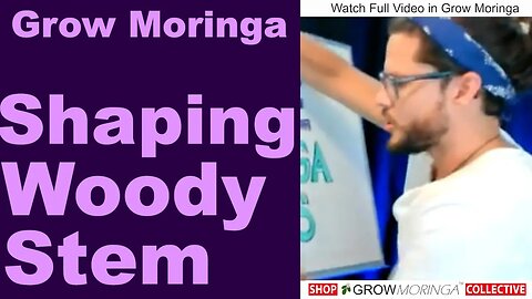 Shaping Your Moringa + Pruning & Harvesting | Aloe Vera Gel as Rooting Hormone | Cloning & Cuttings