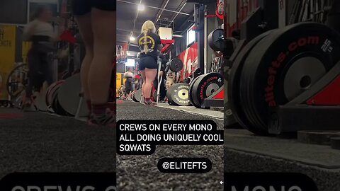 Busy Gym Days Be like… #elitefts