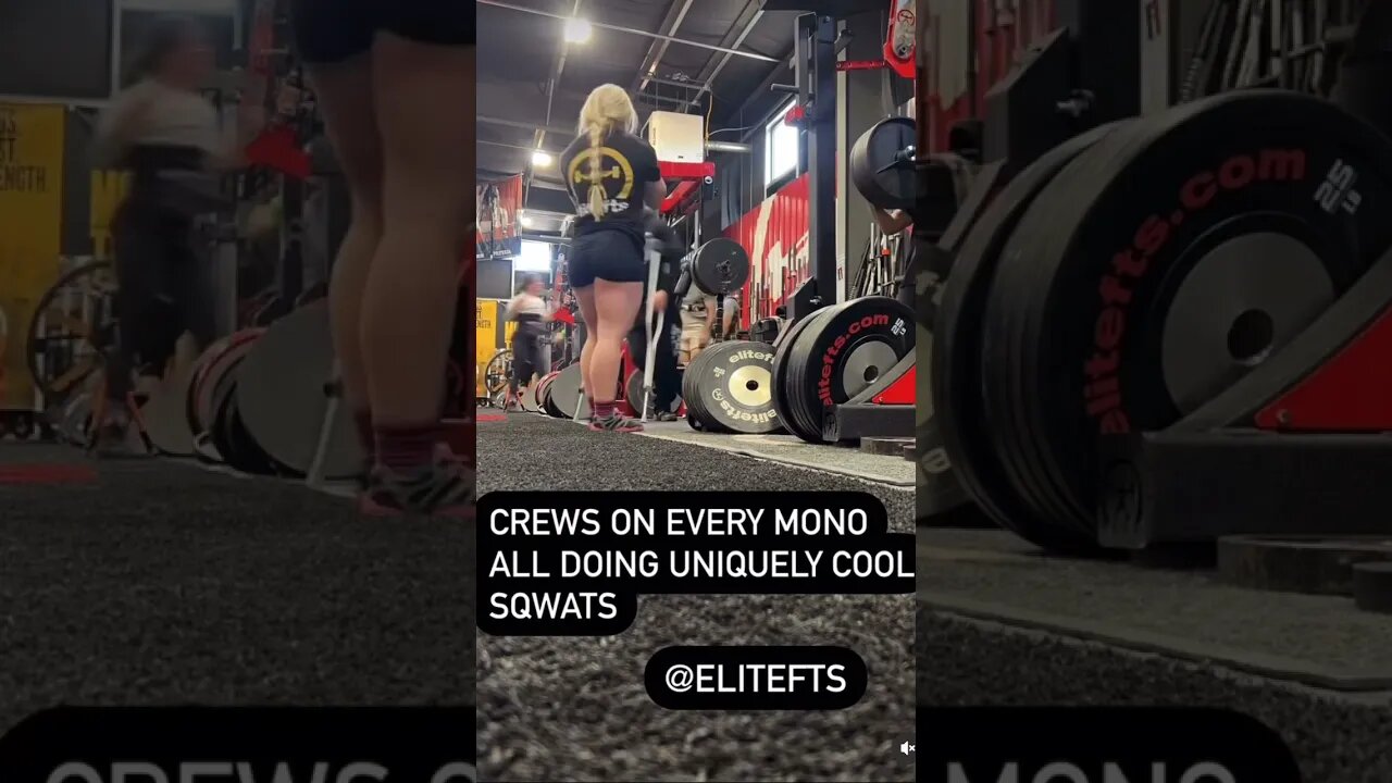 Busy Gym Days Be like… #elitefts