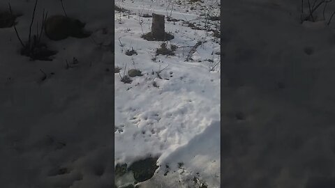 snow snow go away #shorts