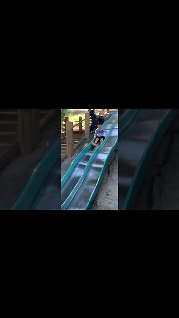 Hilarious Dog having fun in the park slide 🤣 #dog