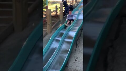 Hilarious Dog having fun in the park slide 🤣 #dog