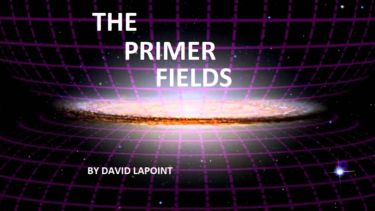 THE PRIMER FIELDS