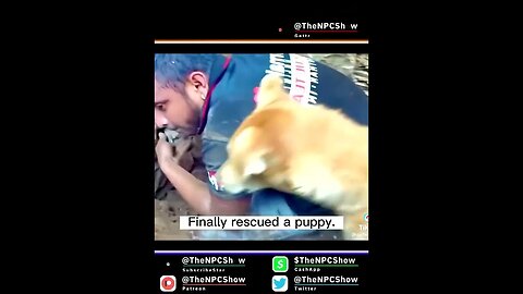 A Turk helps a dog find her pups after massive qu4ke 🟠⚪🟣 The NPC Show