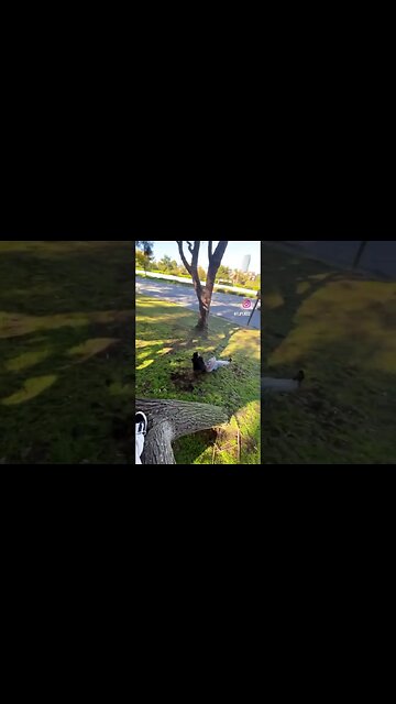 The highway got a nice view🚘👀