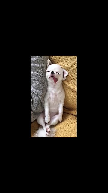 This is me after a day of work