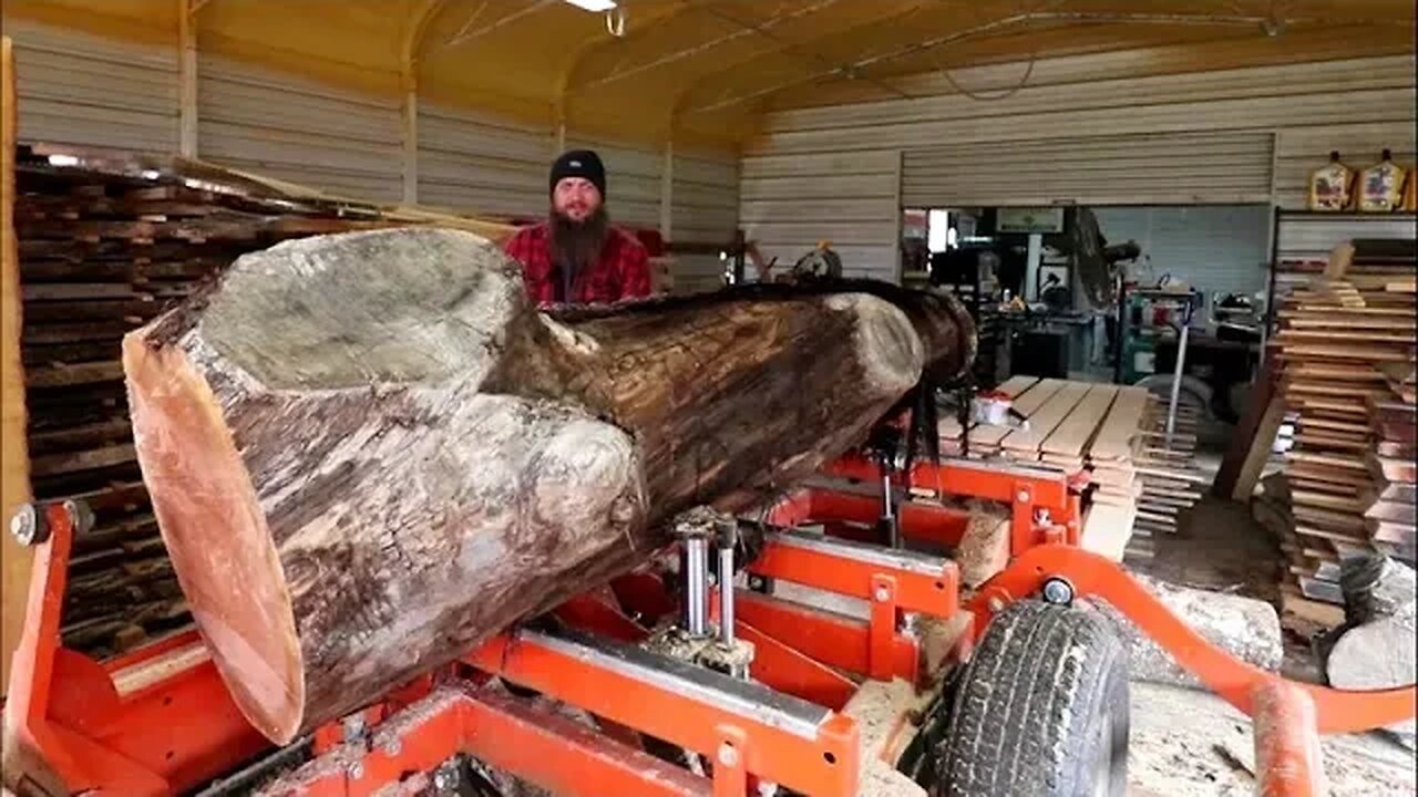 Curly Black Gold! Best Log I Have Ever Had On The Sawmill,