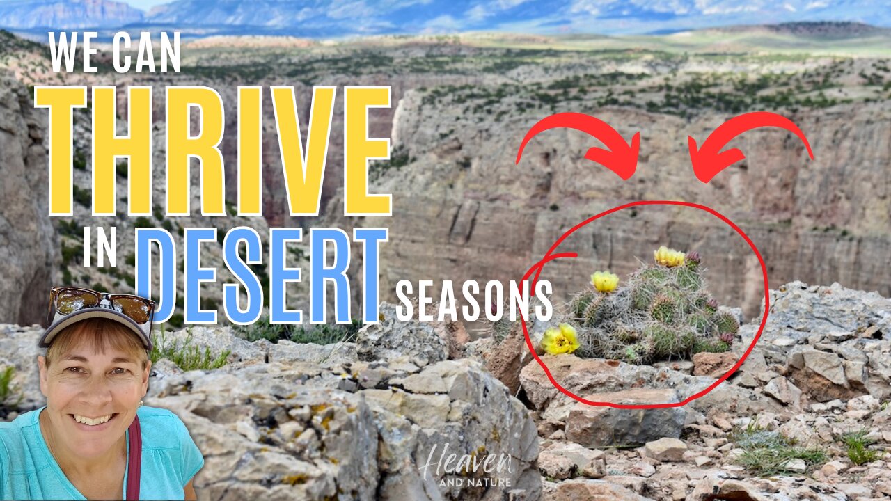 Bible Study: How to Thrive in Desert Seasons, Part 1