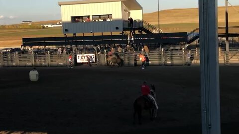 Bull Riding at Rodeo