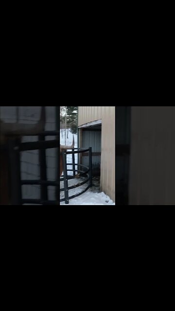 What is Ezra wearing?(2)