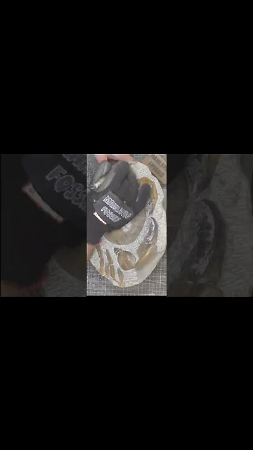 200 hours of prep on this 12 million year fossil crab #short #fossil