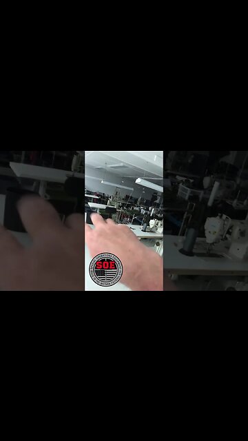 Crazy Cat Lady! #shorts #youtubeshorts #cat #kitten #cutecat #catshorts #catvideo #cutecatshorts