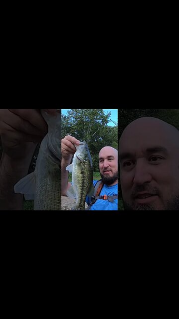 Topwater bass on the Whopper Plopper!
