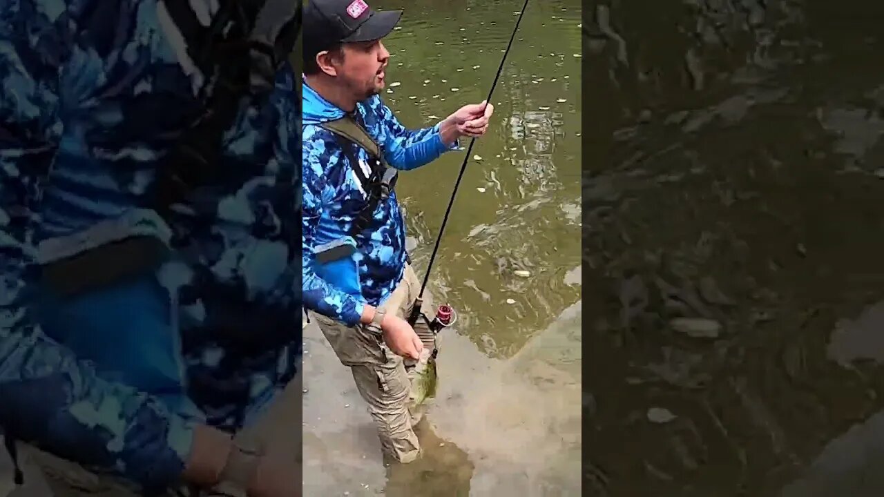 We found the most STACKED creek!
