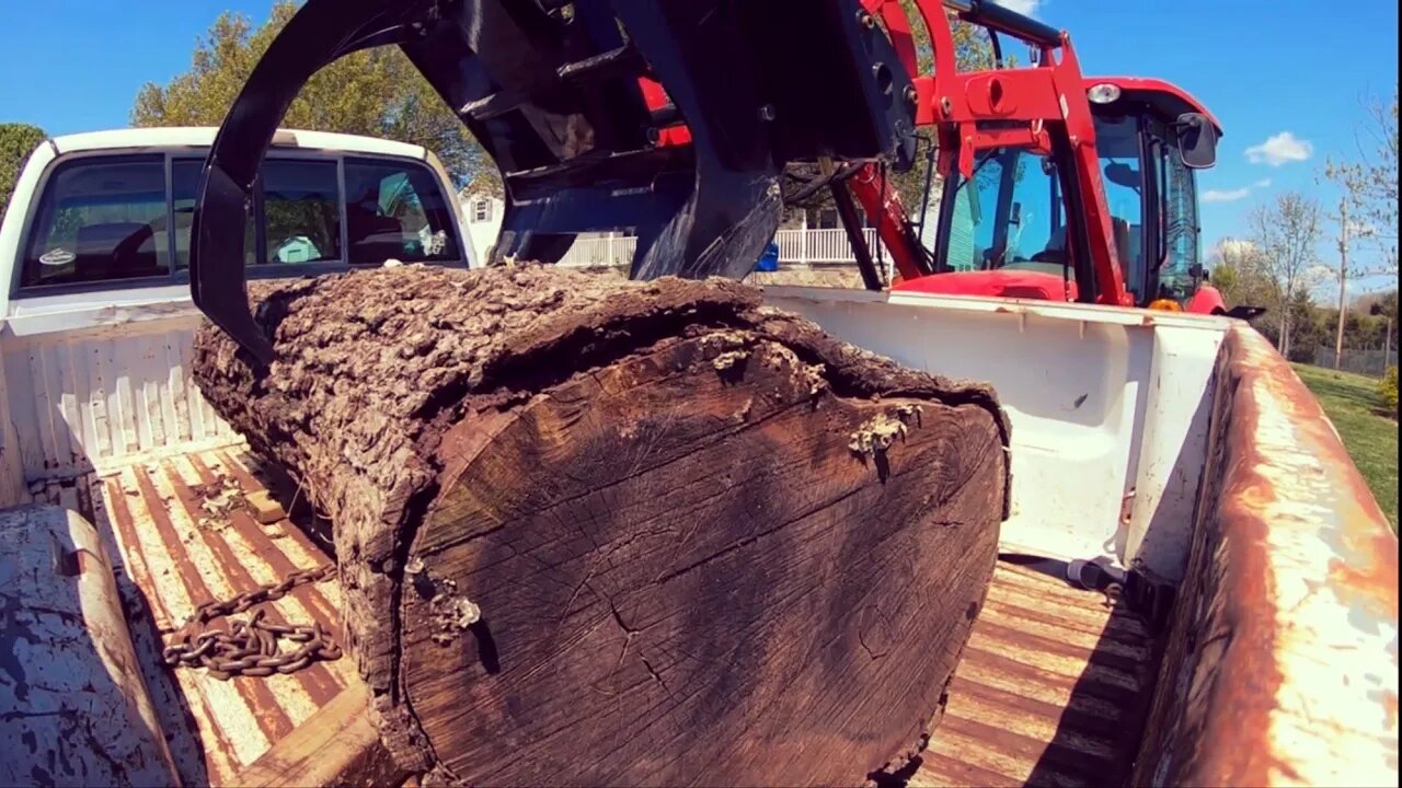 A Special Log Showed Up In A Truck Bed At The Sawmill