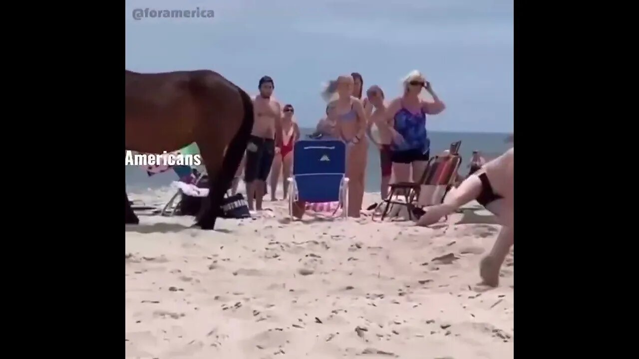 How the Biden Administration Feels