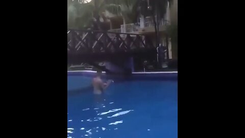 Flamingo collides with a bridge #shorts 👍 and Subscribe