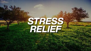 Instant Relief from Stress and Anxiety, Detox Negative Emotions, Calm Meditation Healing Sleep Music