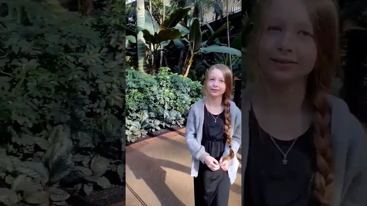 Visiting the Gaylord Opryland Resort and the Rainforest Cafe πΏπ¦ #familyfun #familytime