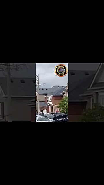 🍁🚔🎥Man Puts Hands Up - Still Bit By Cops K9 #shorts #short