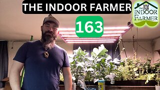 The Indoor Farmer ep 163, Ups And Downs In The Garden + Some New Babies