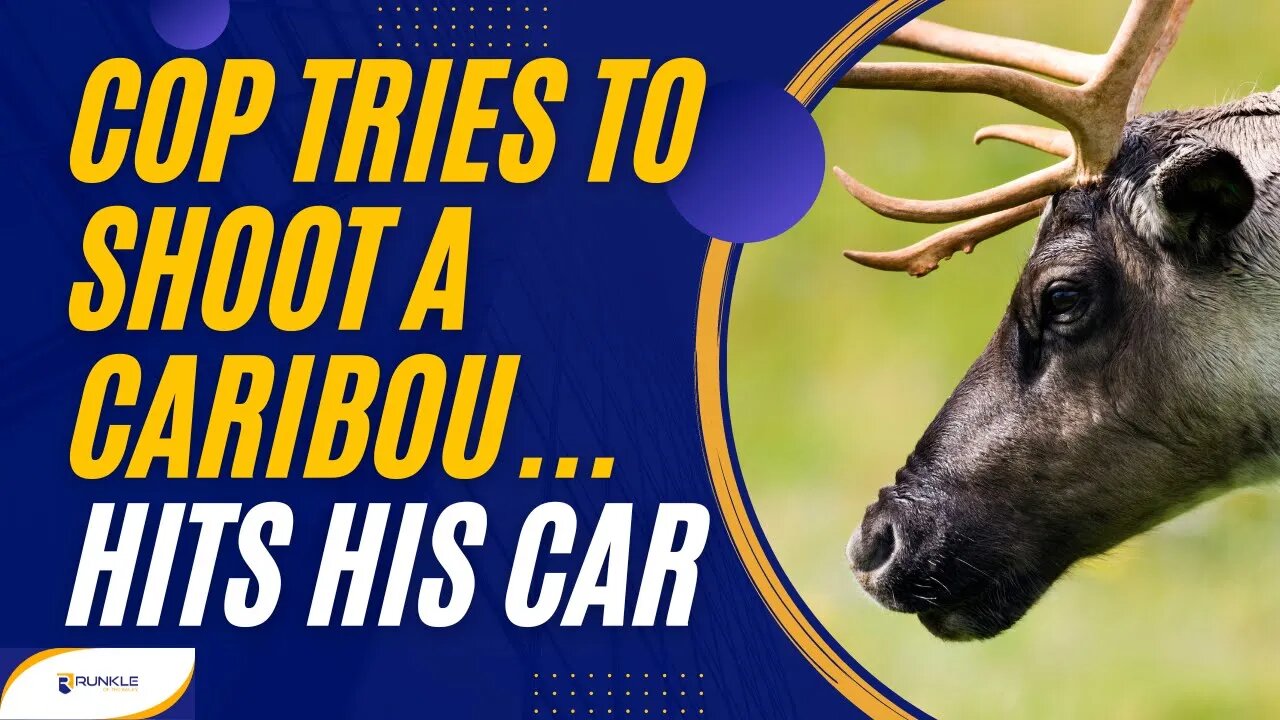 Cop Tries To Shoot A Caribou, But Hits His Car Instead