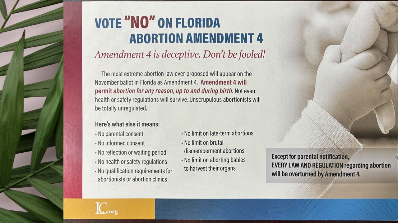 Binford Chronicles on Amendment 4, Florida's abortion bill