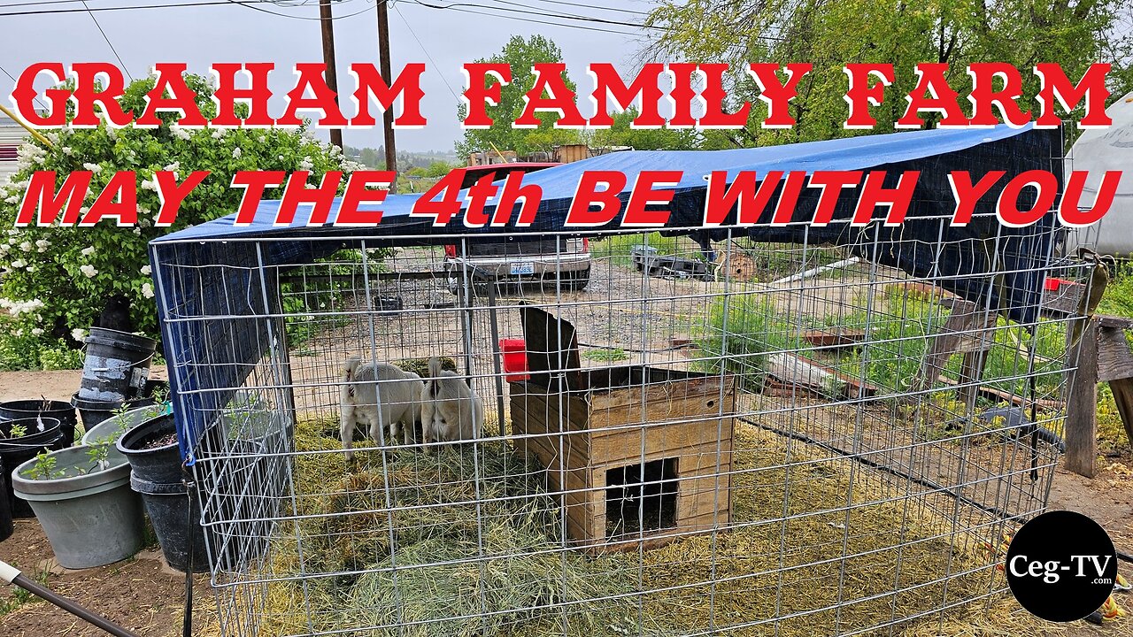 Graham Family Farm: May the 4th Be With You