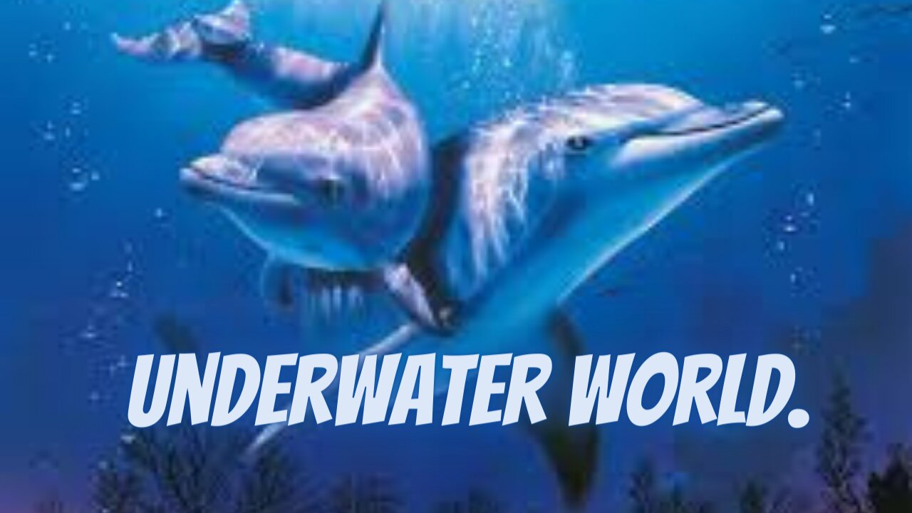 Underwater world.