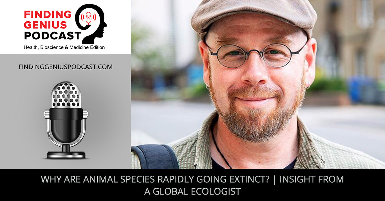 Why Are Animal Species Rapidly Going Extinct? | Insight From A Global Ecologist