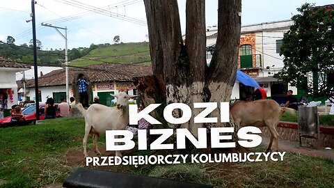 Kozi 🐐 biznes⏐San Augustin⏐KOLUMBIA 🇨🇴 w 2023