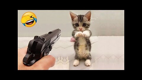 New Funny Videos 2023 😍 Cutest Cats and Dogs 🐱🐶