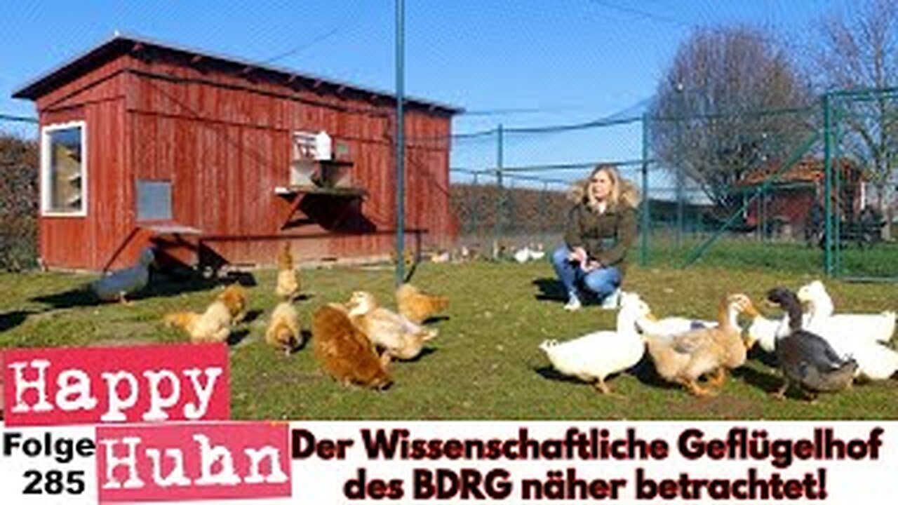 From agony breeding research to conservation breeding