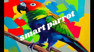 Look what this parot did