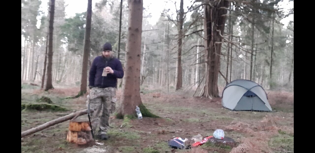 Using a lightweight folding bow saw ina woodland. 20th Jan 2023