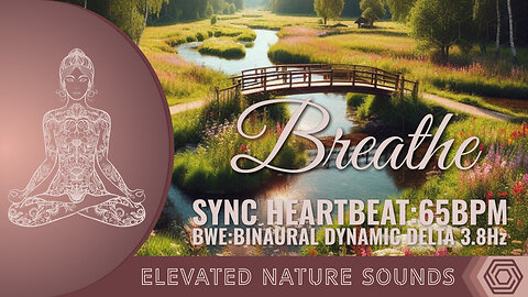 Breathe and Sync Heartbeat to 65bpm Binaural Delta 3.8hz Elevated 174Hz Pure Tone Sleeping Relaxing
