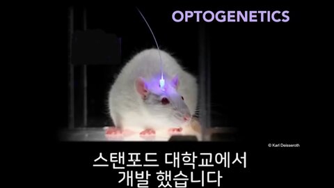 옵토제네틱// MRNA 백신과 블루라이트 조합