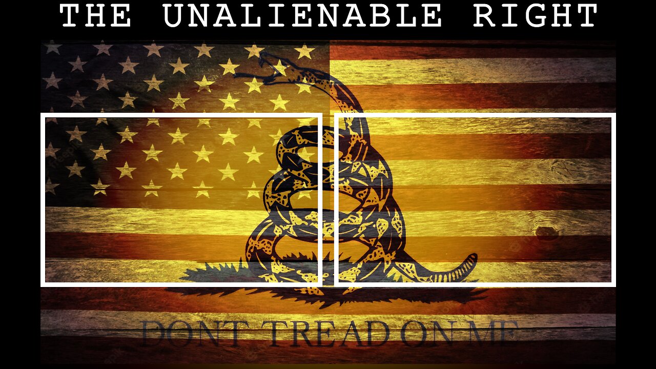 BIDEN'S SOTU SPEECH WAS A TRAINWRECK! - THE UNALIENABLE RIGHT E11