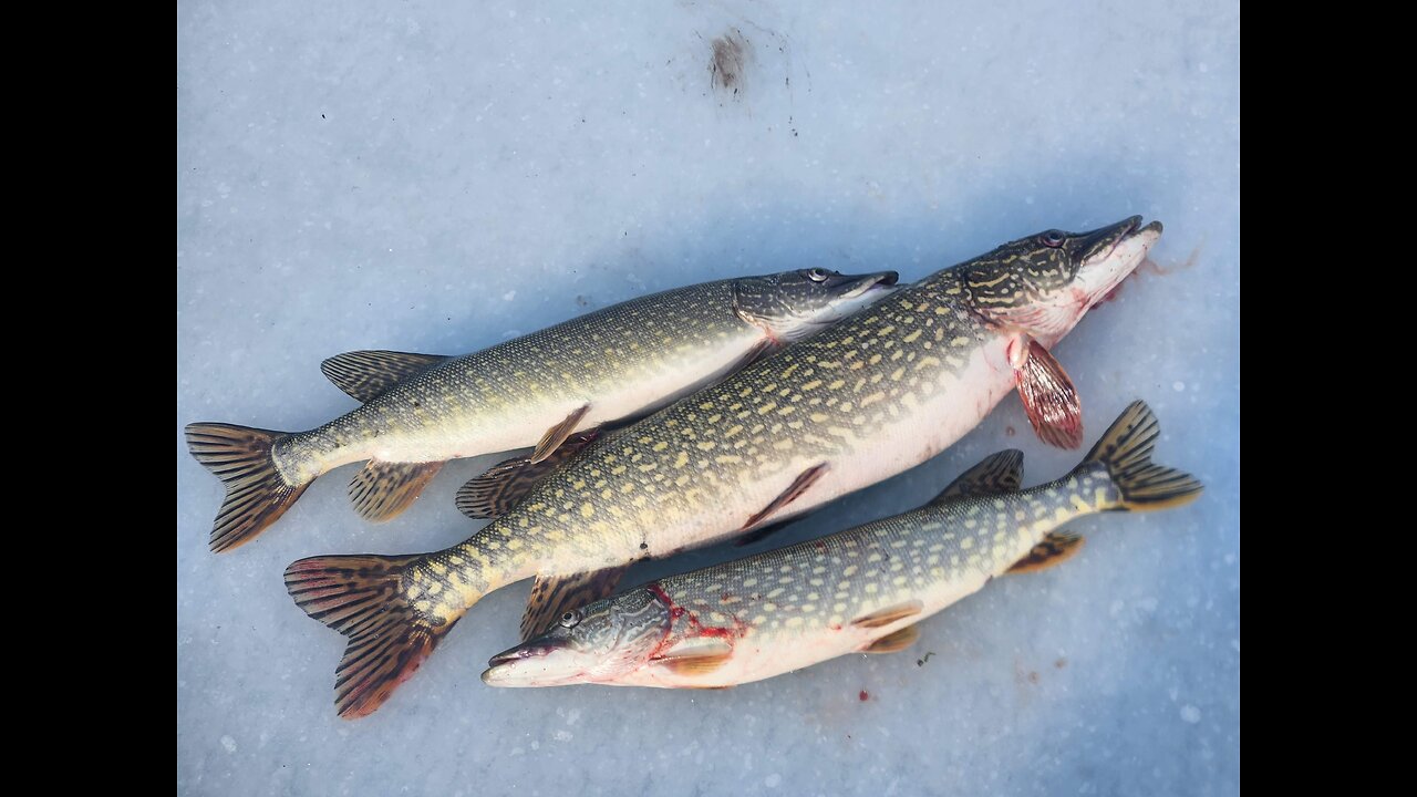 Wisconsin Ice Fishing in 2023