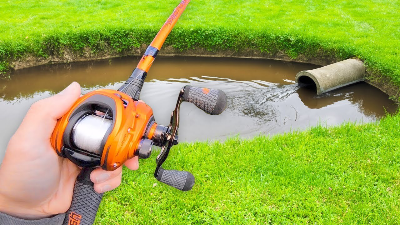 This SMALL Pond is LOADED w/ GIANT Bass