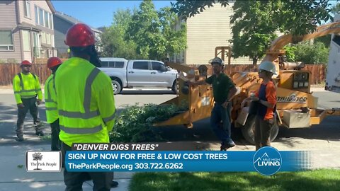 Get a Free Tree! // The Park People