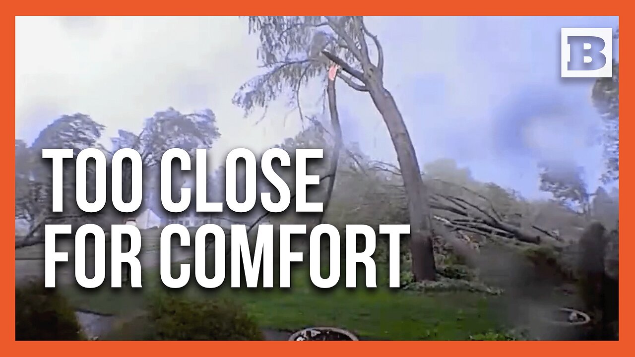 Nature's Fury: Portage Tornado Topples Every Tree on Property in Seconds